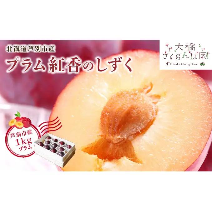 プラム 1kg 北海道産 プラム 紅香のしずく すもも