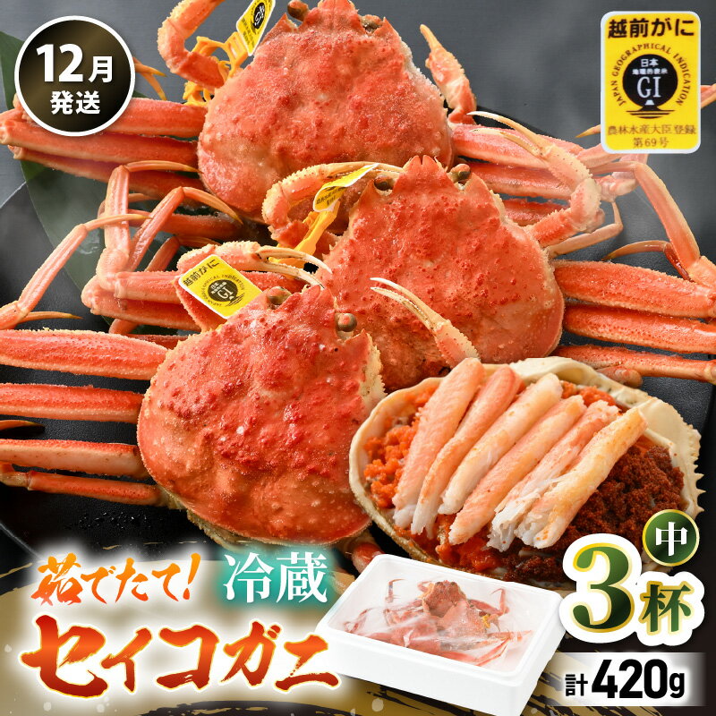 【ふるさと納税】【先行予約】【冷蔵】旬のセイコガニ 中 3杯 計420g以上（茹で前）説明書付き 食べ切数量！【2025年12月上旬以降順次発送予定】全て地物！天然！ ズワイガニメス せいこがに