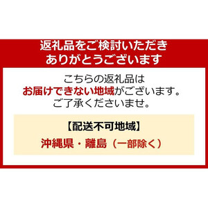 ライオン 洗濯洗剤 「NANOXone」つめかえ用超特大3袋×2種類 (1010g×3袋、1080g×3袋） 洗剤