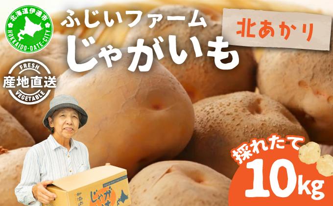 ＜先行予約＞北海道産 じゃがいも(北あかり) 約10kg【hjf-006】ジャガイモ 馬鈴薯 ポテト 芋 イモ きたあかり キタアカリ 野菜 人気 ふじいファーム 10kg