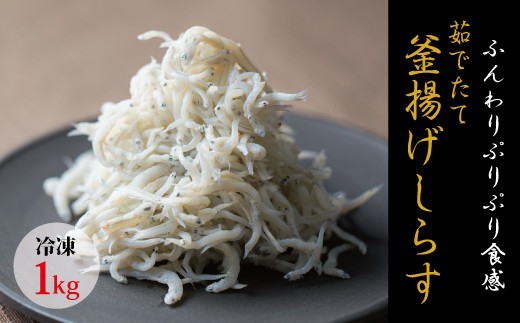 
                  茹でたて釜揚げしらす　1kg箱入り【冷凍】無添加・無着色 しらす シラス 釜揚げ 冷凍【mar112A】
                