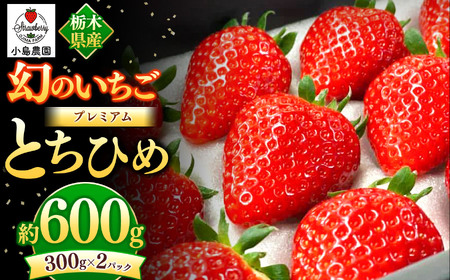 幻のプレミアムいちご とちひめ 600g | 希少 柔らかい 果肉 大粒 ジューシー 果汁 いちご 苺 特産品 ストロベリー strawberry スイーツ お取り寄せ ご褒美 贈答用 プレゼント ご褒美 栃木県 真岡市 