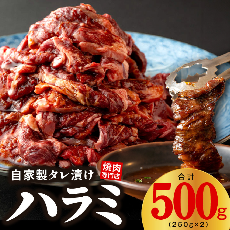【スピード発送】焼き肉専門店 自家製タレ漬け ハラミ 合計500g（250g×2） 099H3564