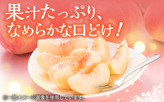 【2025年発送分先行予約】【口当たりなめらか！】佐賀県産桃！日川白鳳2kg（8-10玉）/ 桃 もも フルーツ 果物 / 佐賀県 / 石橋果樹園 [41AAAJ002]