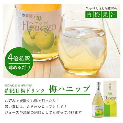 ふるさと納税 古座川町 【古座川町】希釈用梅ドリンク 梅ハニップ 完熟梅ハニップ 各3本セット |  | 01