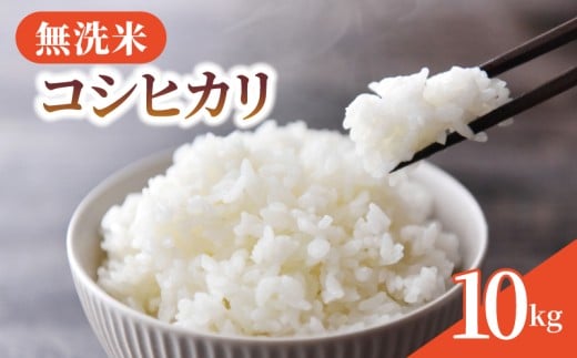 無洗米 米 コシヒカリ 10kg 令和7年産 新米 精米 白米 2025 7年産 お米 ご飯 無洗 むせんまい こめ コメ kome おこめ ごはん ライス こしひかり 家庭用 備蓄 防災 お弁当 産
