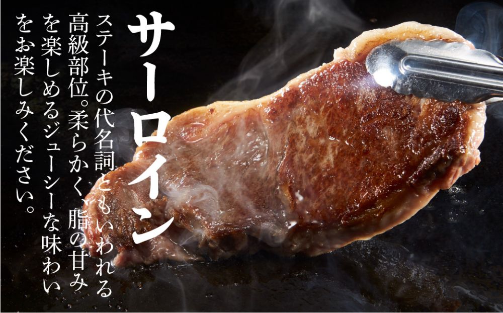 A5 飛騨牛 サーロインステーキ 200ｇ×2枚 ステーキ 冷凍 化粧箱入 黒毛和牛 肉 飛騨高山 c508