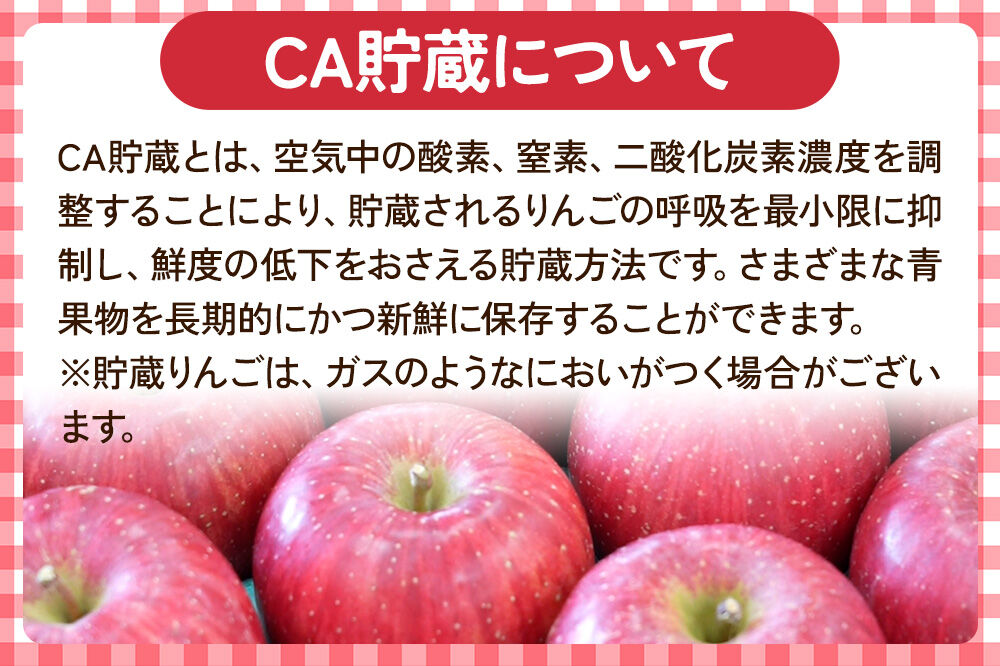 【27年4月クール便発送】りんご 王林【訳あり】約5kg【CA貯蔵】平均糖度13度以上 青森県 弘前市 果物 フルーツ 林檎 リンゴ くだもの 不揃い 規格外 [先行予約 クール便 家庭用 産地直送 アップル 青森県 弘前市]