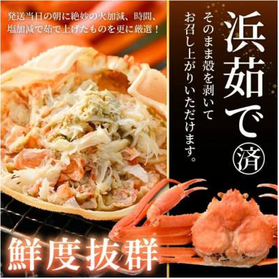 ふるさと納税 越前町 【訳あり】浜茹で 紅ずわいがに 2杯 & 大判干物「赤かれい・あじ」セット【3月発送分】 |  | 01
