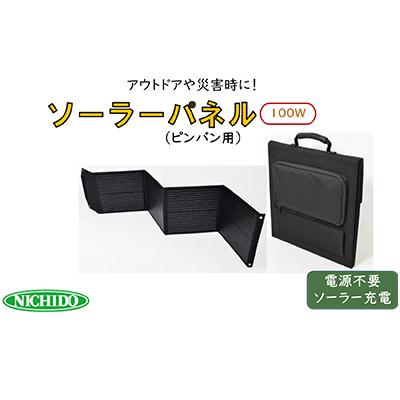 ふるさと納税 寝屋川市 ピンバン用ソーラーパネル100w　 LPE-SO100