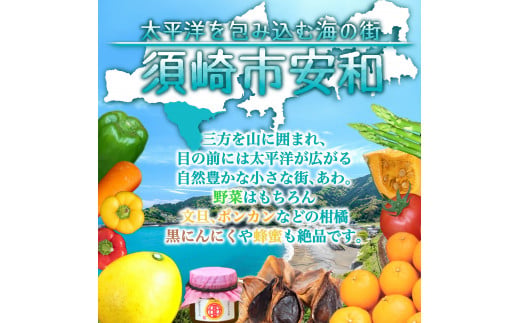 定期便 3回 3ヶ月 旬 野菜 詰め合わせ セット 12~13品目程度 やさい 毎月 届く 産地直送 あわ地区 旬の野菜 ベジタブル キット 季節野菜 高知 須崎 国産 人気 頒布会 AWA10000