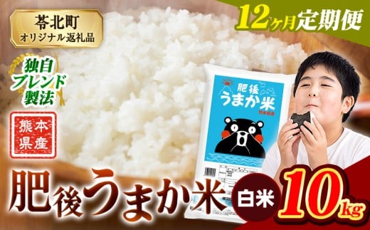 【12か月定期便】米 白米 熊本県産 肥後うまか米 10kg(5kg×2袋) 精米 こめ  コメ お米 おこめ ブレンド米《申込月の翌月から出荷開始》熊本県産  コメ お米 おこめ