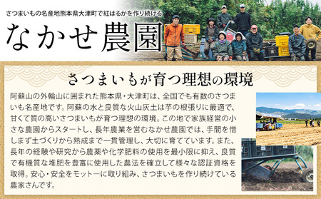さつまいも 蔵出しベニーモ 約5kg さつまいも 訳あり