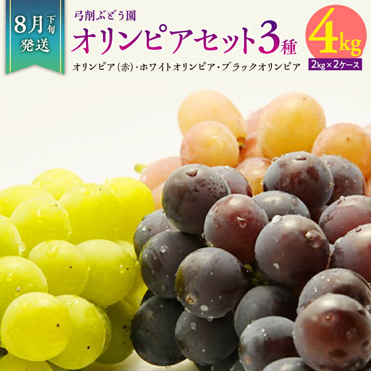 【ふるさと納税】《 2026年 収穫分 》 幻のぶどう オリンピア 3種 約 4kg [B] 糖度18度以上 化粧箱 先行予約 弓削ぶどう園 国産 茨城県 桜川市 はちみつぶどう ぶどう セット フルーツ 詰め合わせ 果物 くだもの フルーツ デザート 旬 自宅用 家庭用 ギフト 贈答 プレゼント
