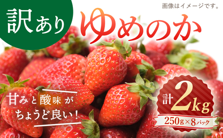 【訳あり】ゆめのか 苺 約2kg（250g×8パック）＜川原農園＞ [CDR005] 長崎 西海 いちご イチゴ 苺 ｲﾁｺﾞ 