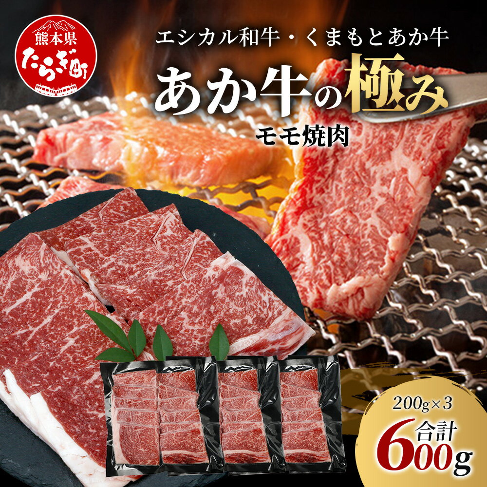 【ふるさと納税】《エシカル和牛》くまもとあか牛 モモ焼肉 200g×3 (計 600g) 【あか牛の極み】 モモ 赤身 熊本 あか牛 牛肉 小分け 焼肉 焼き肉 やきにく BBQ バーベキュー 和牛 国産 SDGs ブランド 熊本県産 熊本 お取り寄せ グルメ 冷凍 多良木町 九州産 国産 送料無料