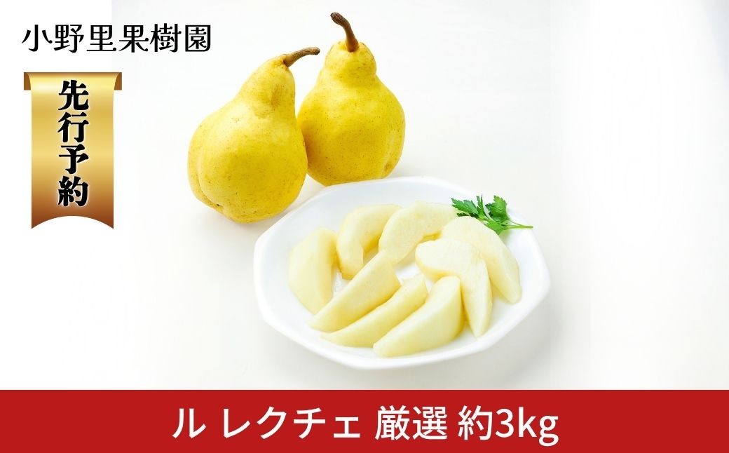 
                  先行予約 ル レクチェ 厳選 約3kg(6～9個)  ル・レクチェ  新潟県産 洋梨 [小野里果樹園] 【016S034】
                