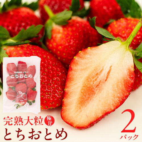 《 2027年 収穫分 》 完熟 とちおとめ 260g×2パック KEK 国産 いちご イチゴ 苺 くだもの 果物 フルーツ 冬 春 旬 [BC025sa]
