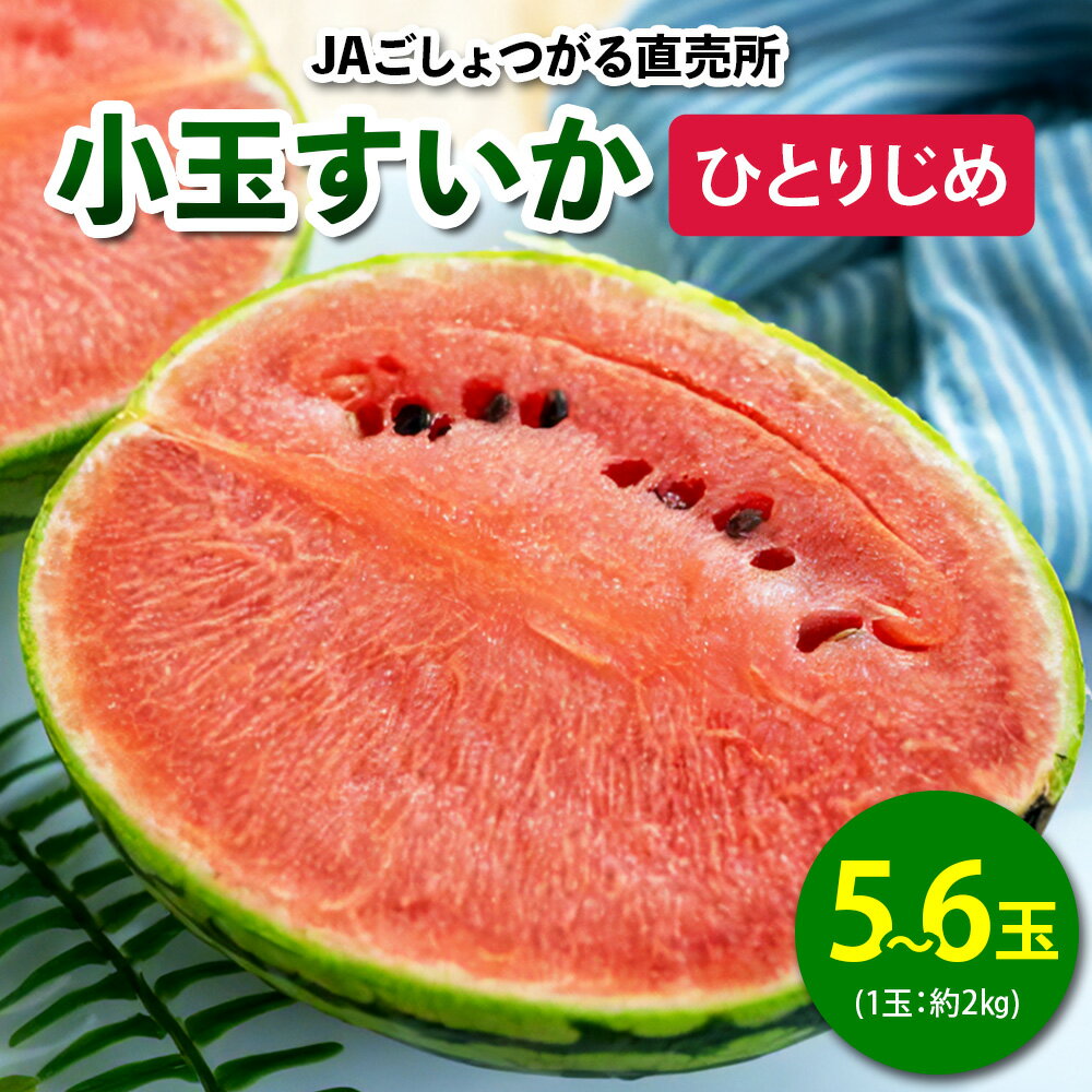 【ふるさと納税】小玉すいか (ひとりじめ) 5玉から6玉入｜2025年 令和7年 小玉 スイカ すいか 西瓜 果物 フルーツ 旬 産直 特産品 数量限定 [0644]