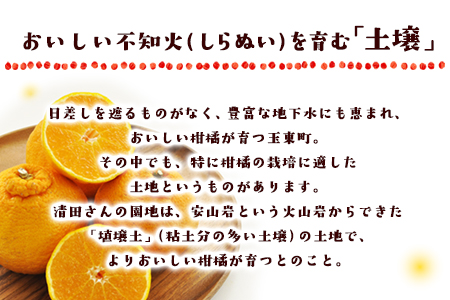 『清晃アグリ』のご家庭用不知火(しらぬい)約4kg(L-4Lサイズ)10玉-16玉前後《3月上旬-3月末頃出荷》 予約受付中 フルーツ 旬★デコポンと同品種★熊本県玉名郡玉東町