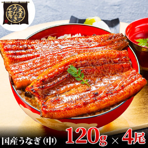 うなぎ蒲焼 120g×4尾(480g) うなぎ ウナギ 鰻 蒲焼 蒲焼き冷凍 国産 大五 大五通商 静岡 島田市