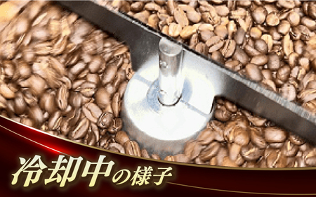 Fuuki Coffee Roaster GOTOブレンド 3種類飲み比べセット[RBO023] コーヒー 珈琲 コーヒー 珈琲 コーヒー 珈琲 コーヒー 珈琲 コーヒー 珈琲九州 長崎