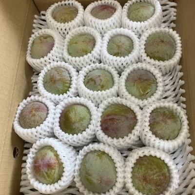 ふるさと納税 南アルプス市 【2026年発送/先行受付】すももソルダム　大玉2L〜4Lサイズ1.8kg(約16~20玉) |  | 01