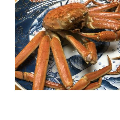 ふるさと納税 北見市 2代目漁師のお勧めする茹でズワイ蟹1尾(約850g〜1kg)