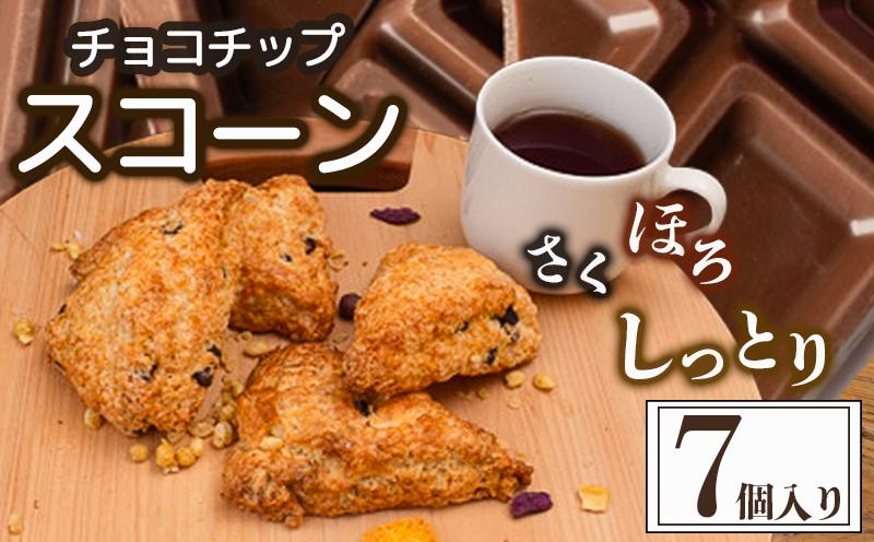 スコーン 7個 セット チョコチップ 焼き菓子 お菓子 チョコ 焼菓子 おやつ 洋菓子 デザート スイーツ 人気 発酵 バター コク 風味 穀物 すこーん 冷凍 手土産 ギフト プレゼント 手作り 紅