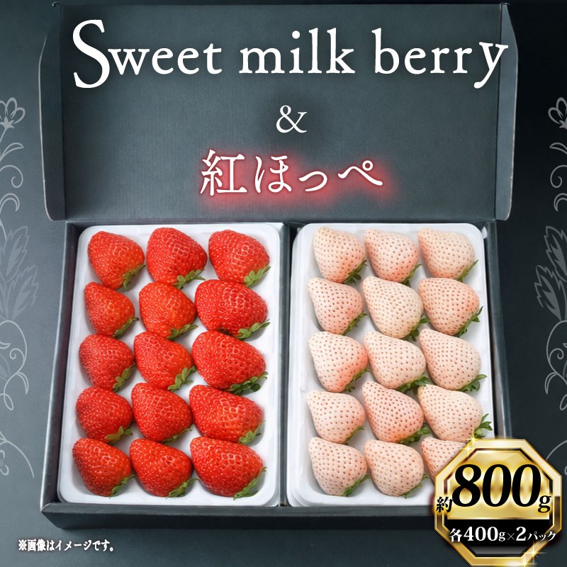
                  【1月から順次発送開始】いちご 紅ほっぺ 白いちご 計 800g 計 2 パック 高級 紅白 イチゴ 苺 セット Sweet milk berry 各 1 パック 各 400g 希少  期間限定 数量限定 苺 イチゴ ベリー フルーツ スイーツ デザート 果物 果汁 ストロベリー 甘い 国産 安心 濃厚 新鮮 贈答用 プレゼント くだもの お歳暮 静岡いちご 静岡苺 静岡県 牧之原市 畠農宝
                