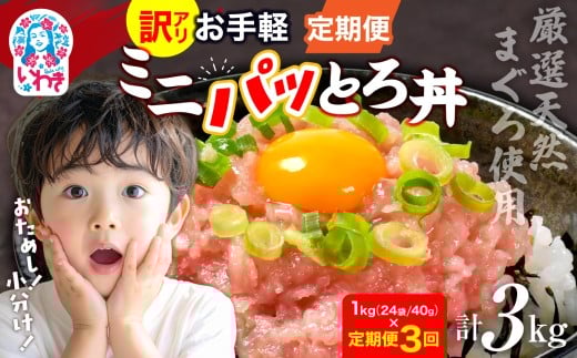 〈定期便3回〉ねぎとろ使い切りパック　約1kg（約40g×24パック） | まぐろ まぐろたたき ねぎとろ マグロ パーティー 使い切りパック 海鮮丼 お寿司 軍艦巻き 福島県 いわき市 父の日 | DK011-1kg-t3