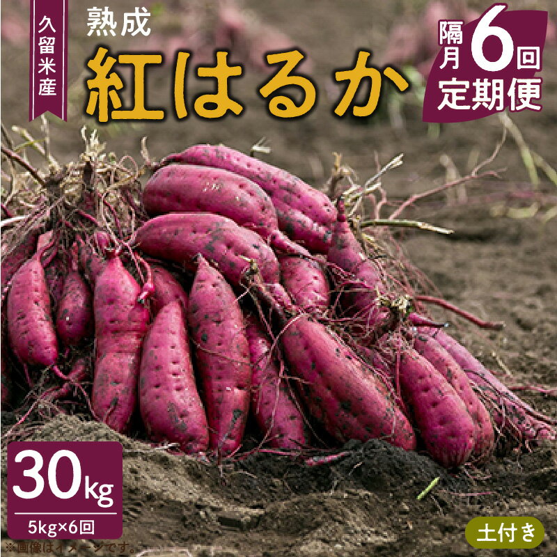 【ふるさと納税】定期便 6回 久留米市産 さつまいも 紅はるか 5kg 隔月お届け 栽培期間中農薬不使用 熟成 甘い 美味しい おやつ スイーツ 常温発送 国産 九州 福岡県 久留米市 お取り寄せ お取り寄せグルメ 送料無料