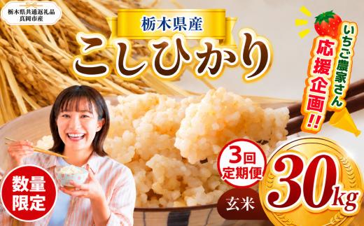【定期3回】 新米 訳あり 定期便 数量 限定 令和8年度産 コシヒカリ こしひかり 約 30kg| こしひかり コシヒカリ 定期便 okome kome 日本米 栃木県産 ご飯 米 お米 玄米 白米 ごはん おいしい  ふるさと納税 那珂川町 栃木県 送料無料【栃木県共通返礼品】
