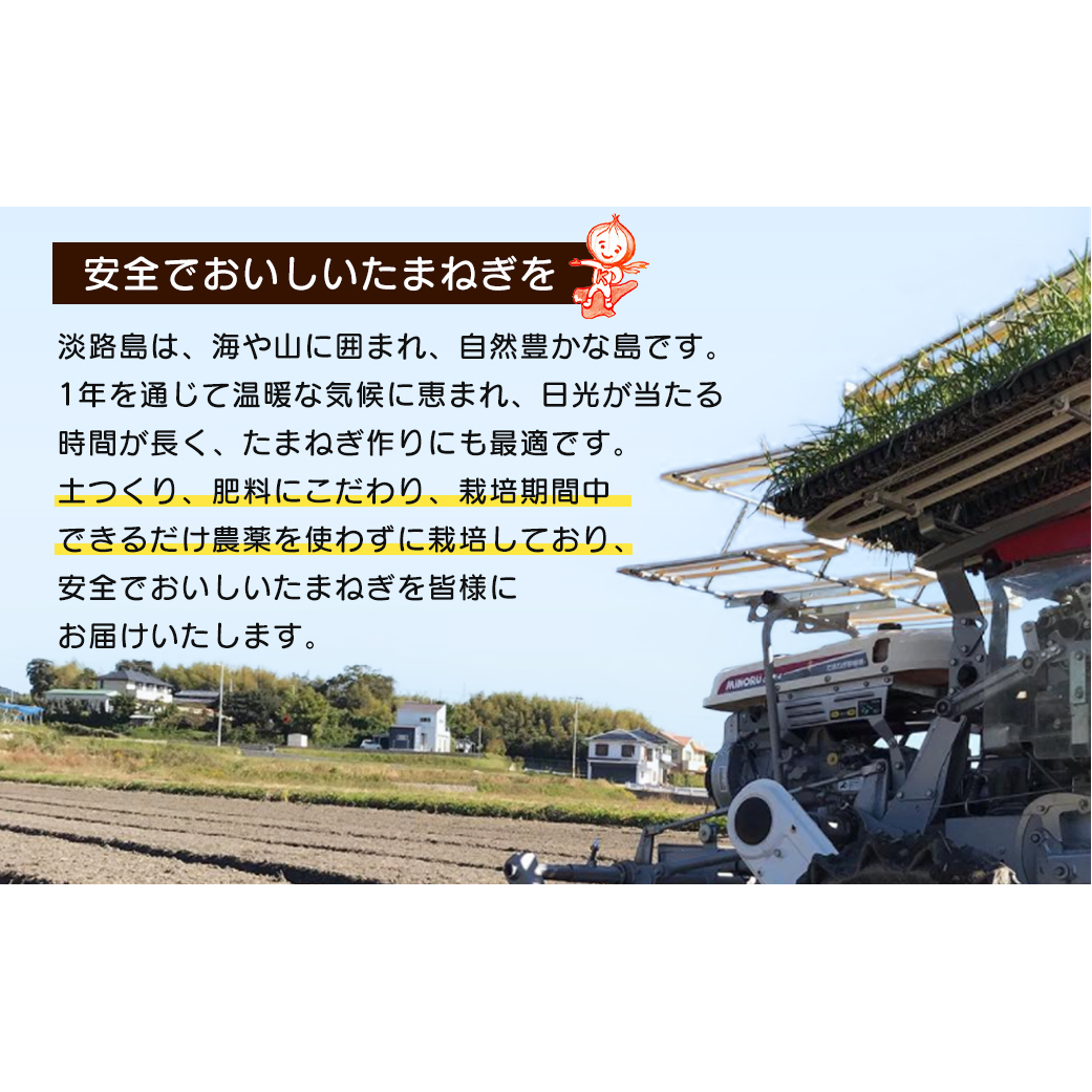 【新玉ねぎ】淡路島玉ねぎ 大きな2Lサイズ 3kg【発送時期：2026年3月下旬～6月頃】