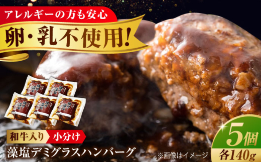 冷凍 肉 和牛入り藻塩ハンバーグ(デミグラス) 5個セット 広島県福山市/有限会社池口精肉店 ハンバーグ 黒毛和牛 国産 おかず 湯煎 ギフト [BAFK003]