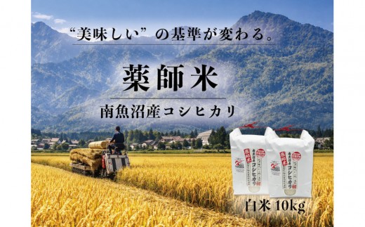 【令和８年産新米予約】【南魚沼市食味コンテスト優秀賞】南魚沼産コシヒカリ 白米10kg(5kg×2袋)｜薬師米（農家直送）【銘柄米 ブランド米 精米 こしひかり コシヒカリ 魚沼産 新潟米】【2026年10月上旬から1ヶ月以内に順次発送予定】
