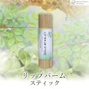 【ふるさと納税】【Nature Plants Skin Care】リップバームスティック　5ml | 天然素材 手作り スキンケア 美容 美 守本理恵 化粧水 天然 月桃 自然 メイクアップアーティスト メイク モデル 無添加 自然派 クリーム 美白 沖縄 海 オイル オーガニック オーガニックオイル