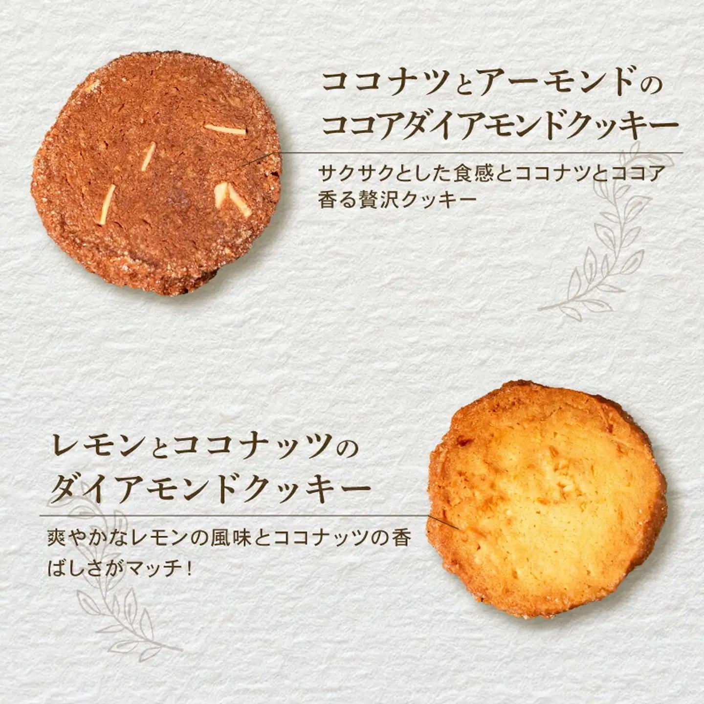 焼き菓子 詰め合わせ 10枚 チャンククッキー サブレクッキー