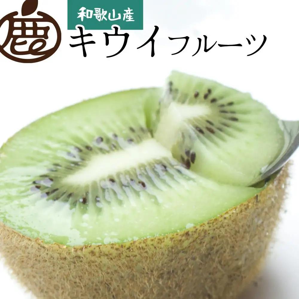 ［先行予約］厳選 キウイ1kg+250g（傷み補償分）【扁平果】［IKE106］
