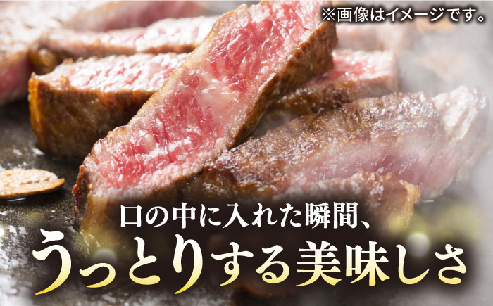 極上 壱岐牛 A5ランク サーロインステーキ 350g（雌）《壱岐市》【KRAZY MEAT】[JER055] サーロイン ステーキ 希少部位 赤身 牛肉 A5 27000 27000円 のし プレゼ