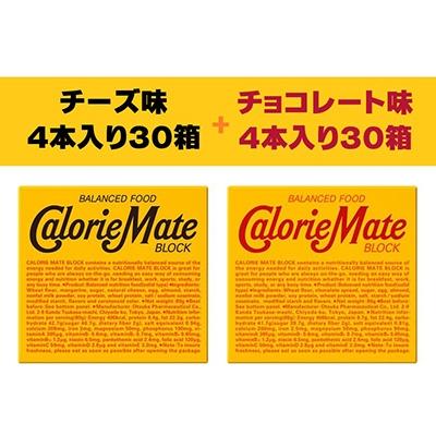 ふるさと納税 那賀町 「大塚製薬」カロリーメイトブロック　チーズ味30箱・チョコレート味30箱　計60箱