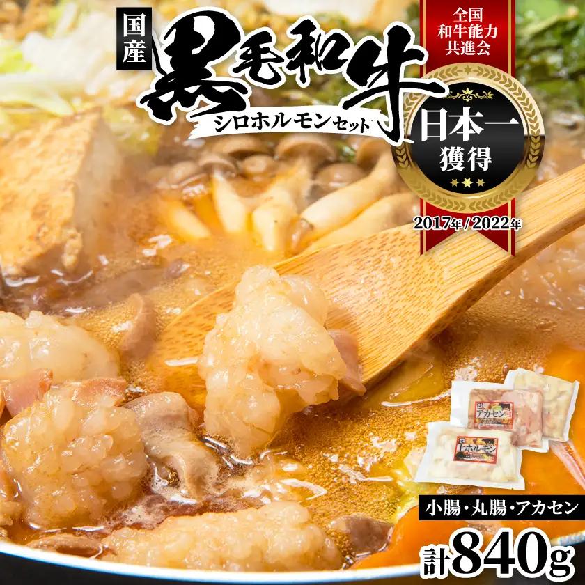 国産黒毛和牛シロホルモンセット　840g A3-383【配送不可地域：離島】【1694678】