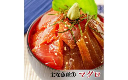 【6ヶ月 定期便】漬け海鮮丼 4種×2パック 計8食セット 海鮮丼 8P 定期便