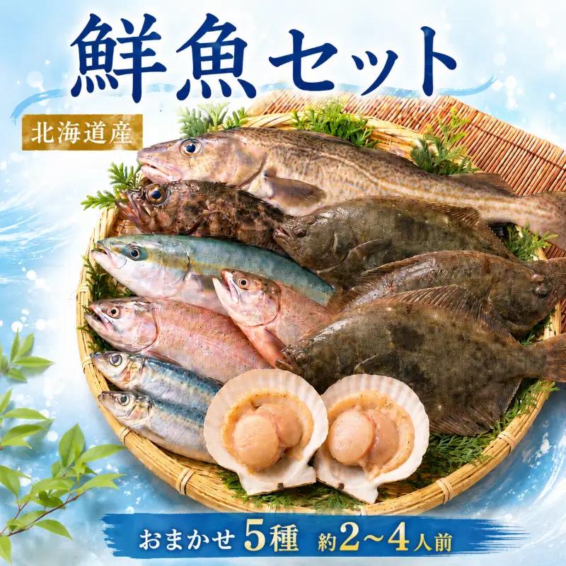 鮮魚 おまかせ 5種セット 詰め合わせ 約2~4人前 【AO008】