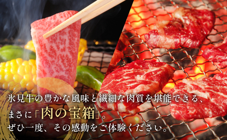 氷見牛焼肉玉手箱 牛肉 焼肉 BBQ アウトドア ロース カルビ 富山県 氷見市