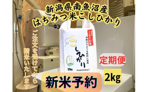 【令和8年産・新米予約・定期便】新潟県南魚沼産（塩沢地区）はちみつ米コシヒカリ 2kg×12か月　※蜂蜜発酵液肥料栽培【定期便 銘柄米 ブランド米 精米 こしひかり】【2026年9月下旬より1ヶ月以内に順次発送予定】