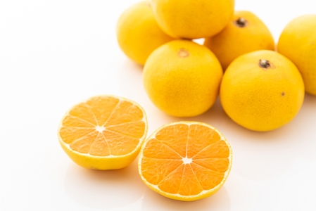 【先行予約】Saito Orange Farmの早生(わせ)みかん5kg ※離島への配送不可（2025年11月下旬頃より順次発送） IKTAQ020