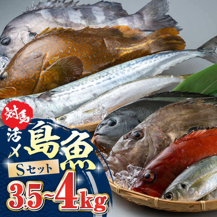 【ふるさと納税】対馬 活〆 島魚セット 3.5〜4kg《対馬市》【対馬地域商社】九州 長崎 鮮魚 [WAC007] 34000 34000円