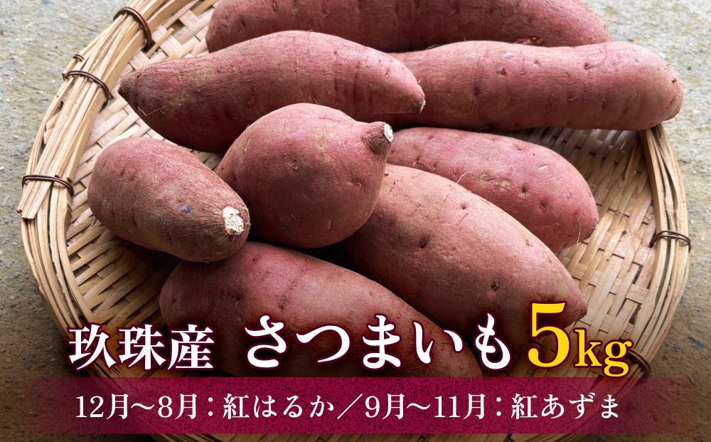 大分県産玖珠産　さつまいも5ｋｇ　紅はるか（12月～8月）紅あずま（9月～11月）　