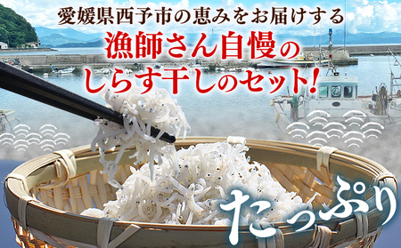 ＜漁師さん自慢のしらす干し 合計1kg 3回定期便＞ 定期便 シラス 魚介類 さかな 海産物 海鮮 海の幸 小分け 国産 ご飯のお供 丼 晩酌 おかず 特産品 濱田水産 愛媛県 西予市 【冷凍】『お申